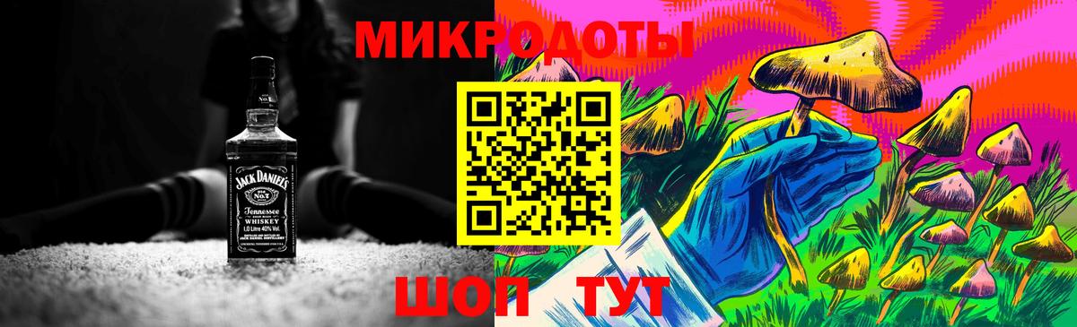 Галлюциногенные грибы Psilocybe  Вход с VPN  Галлюциногенные грибы мухоморы  Горно-Алтайск 